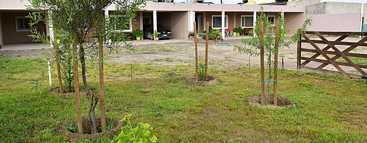Cochera cubierta y predio cerrado.